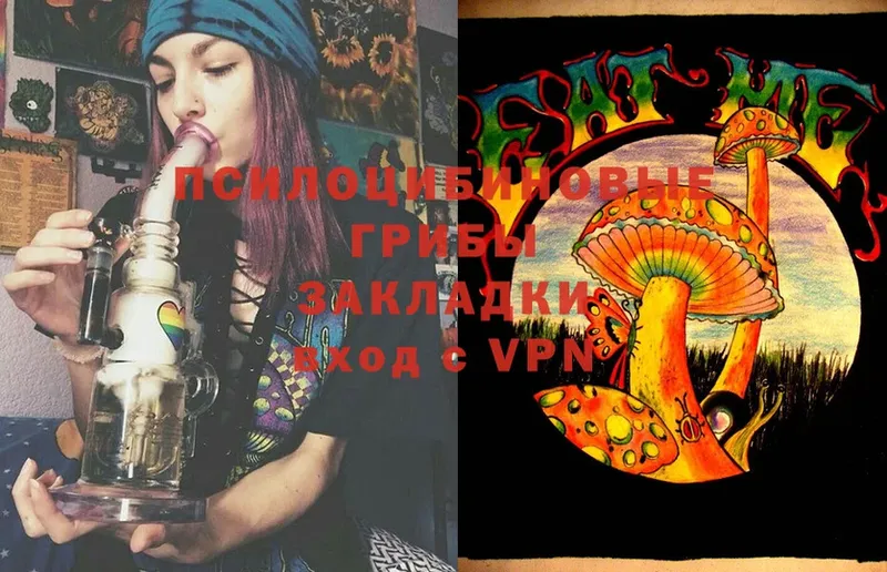 купить наркоту  Тольятти  Псилоцибиновые грибы Magic Shrooms 